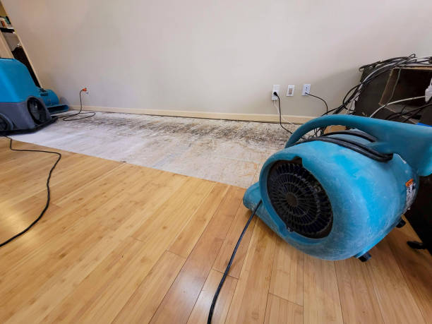 Professional Water Damage Repair technician working in Augusta, AR